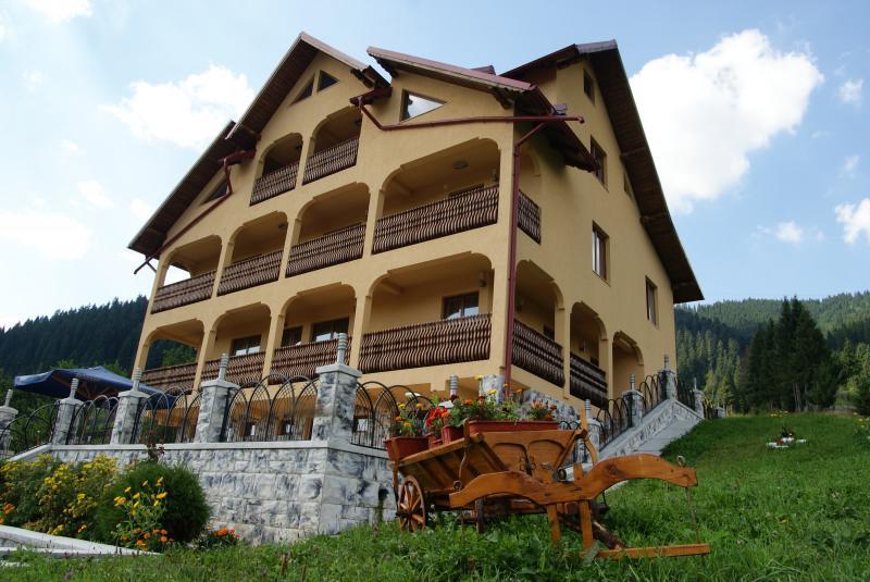 Pensiunea Alunis Hotel Sadova  Exterior photo