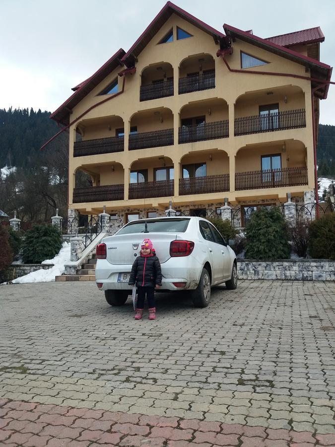 Pensiunea Alunis Hotel Sadova  Exterior photo